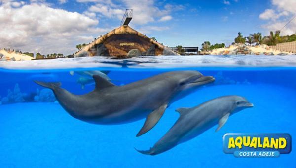 Royal Ocean View - Top Localization Адехе Екстериор снимка